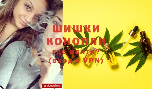 меф Корсаков