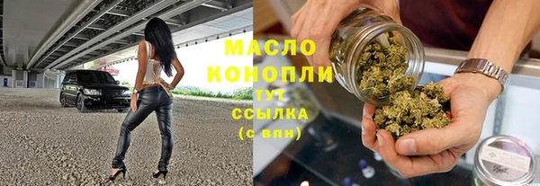 твердый Краснослободск