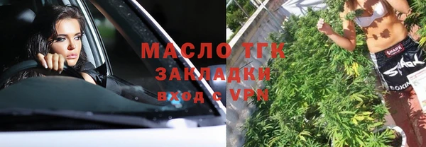твердый Краснослободск