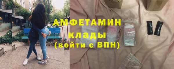 твердый Краснослободск