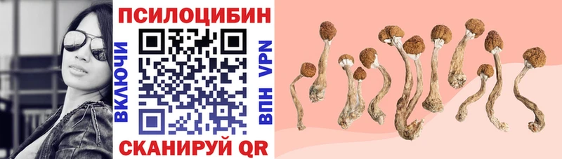 Галлюциногенные грибы Magic Shrooms где найти наркотики Усолье-Сибирское